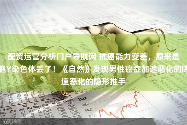 配资运营分析门户导航网 抗癌能力变差，原来是免疫细胞Y染色体丢了！《自然》发现男性癌症加速恶化的隐形推手