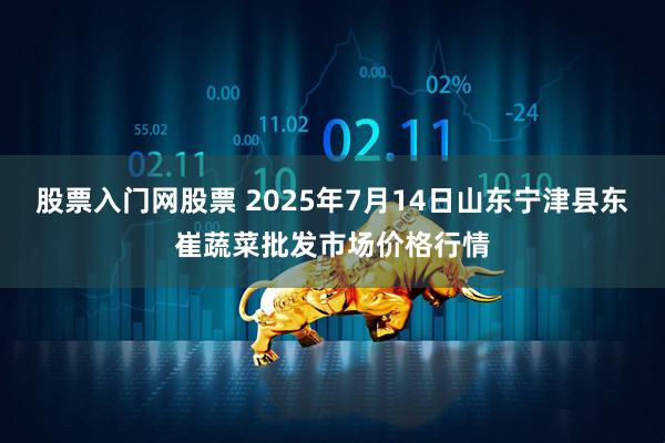 股票入门网股票 2025年7月14日山东宁津县东崔蔬菜批发市场价格行情